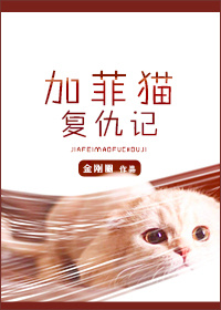 加菲猫复仇记小说封面
